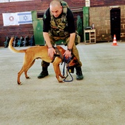 Caliber 3 - Army Training