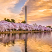 Potomac (Washington D.C.)