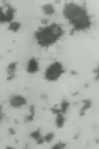 The Cheese Mites (1903)