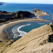Castlepoint Hill Walk