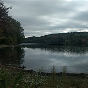 Jamaica Pond