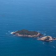 Guano Island