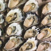 Sydney Rock Oysters