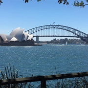 Sydney Harbor