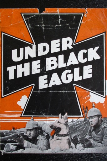 Under the Black Eagle (1928)