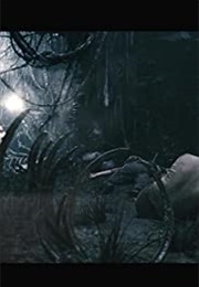 The Lost Spider Pit Sequence (2005)