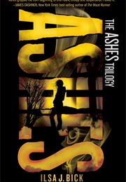 Ashes Trilogy (Ilsa J. Bick)