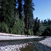 Redwood Creek, Humboldt County, CA