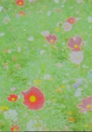 Constellations (2013)