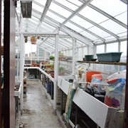 The CAS Greenhouse