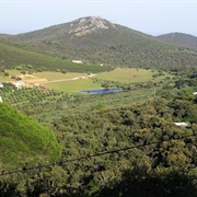 Sierra De La Mosca