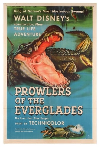 Prowlers of the Everglades (1953)
