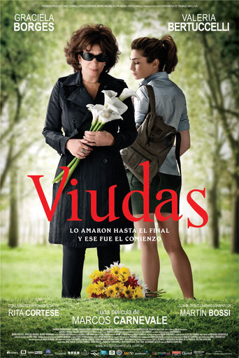 Widows (2011)