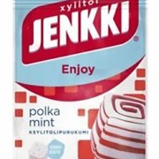 Jenkki Polka Mint Gum