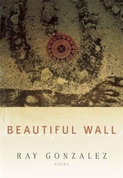 Beautiful Wall (Ray Gonzalez)