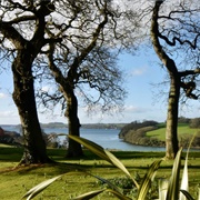 Trelissick Garden