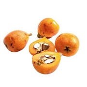 African Medlar