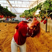 The Salad Trail, Israel