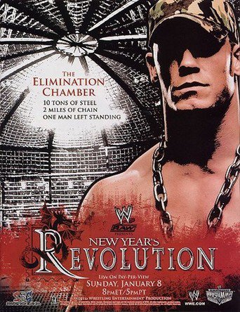 WWE New Year's Revolution 2006 (2006)