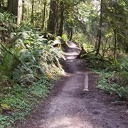 Arroyo Park, Bellingham