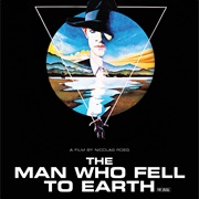 The Man Who Fell to Earth