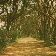 Factory Floor – Untitled