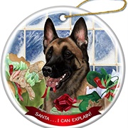 Belgian Malinois Ornament
