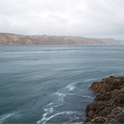 Shark Island, Manukau