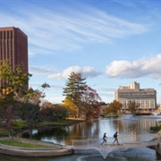 Umass Amherst