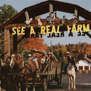 Old Mcdonald's Farm in Lake Placid