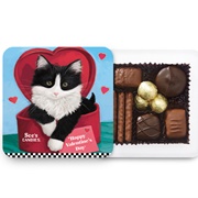 See's Kitty Valentine Box