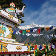 McLeod Ganj/ Dharamsala, India