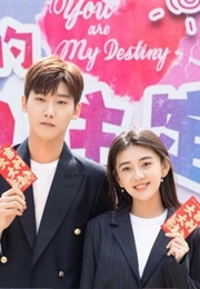 You Are My Destiny (2008)