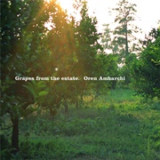 Oren Ambarchi - Grapes From the State