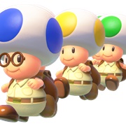 Toad Brigade
