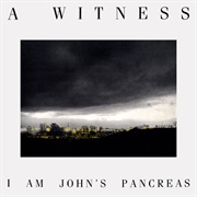 A Witness-I Am John&#39;s Pancreas