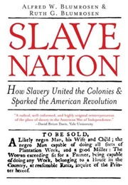 Slave Nation (Alfred W. Blumrosen and Ruth G. Blumrosen)