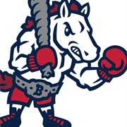 Binghamton Rumble Ponies