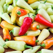 Santa Fe Grande Pepper