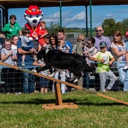 Streamvale Open Farm