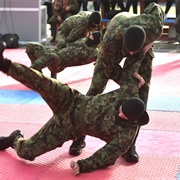 Militray Marital Arts