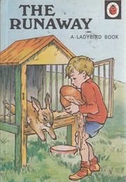 The Runaway (A J MacGregor)