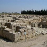 Ugarit