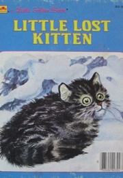 Little Lost Kitten (Nina)