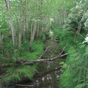 Happy Valley Park, Bellingham