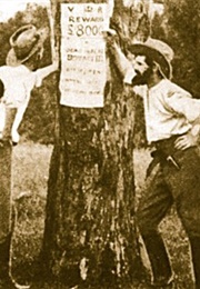 The Story of the Kelly Gang (1906)