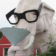 Martini Drinking Elephant