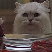 Snowbell (Stuart Little)