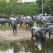 Cattle Drive, Dallas