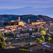 Montescudaio, Tuscany, Italy